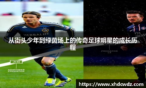 U8国际·(集团)有限公司官网